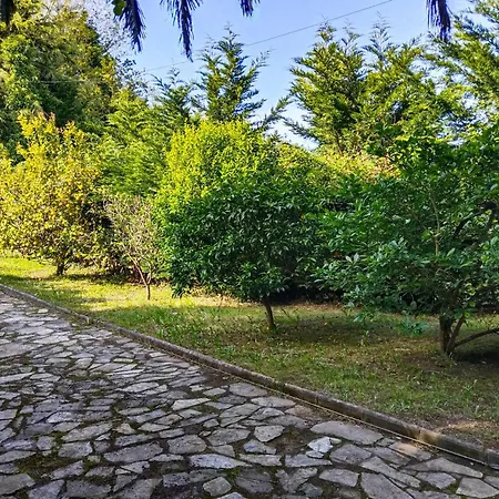 Casa Sebia *